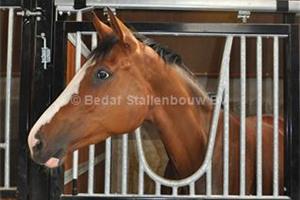 luxe paardenstallen BEDAF Stallenbouw BV